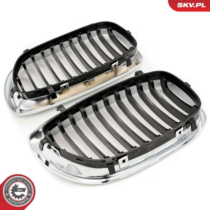 ESEN SKV, Grille de radiateur