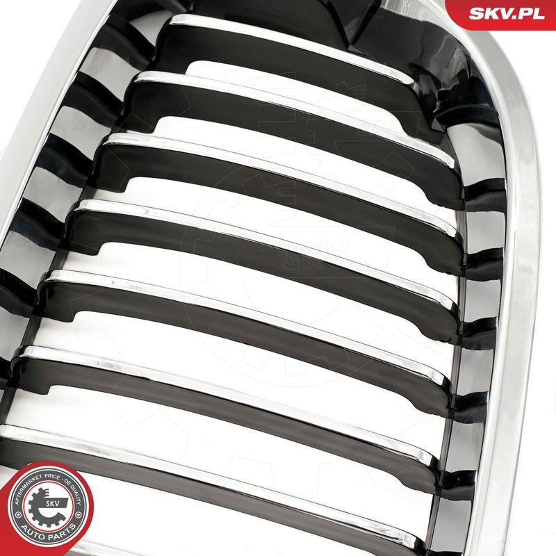 ESEN SKV, Grille de radiateur