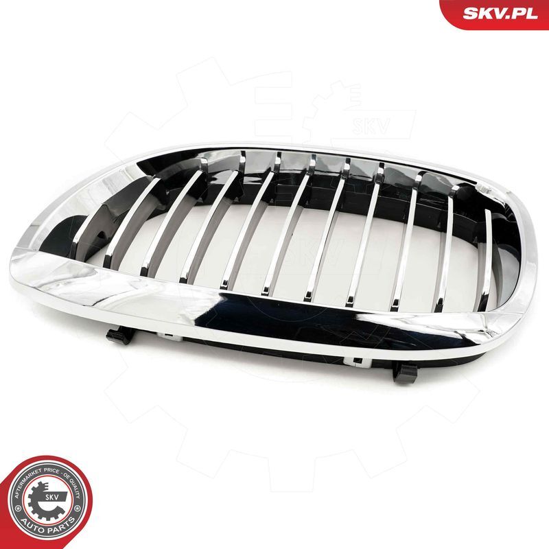 ESEN SKV, Grille de radiateur