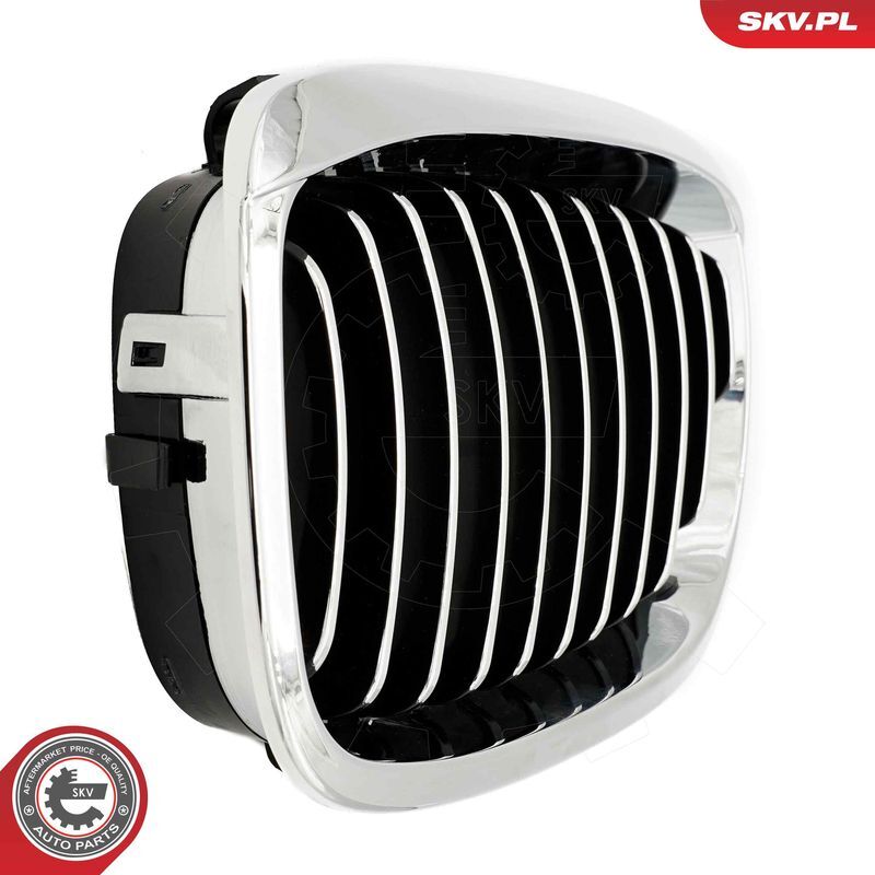 ESEN SKV, Grille de radiateur