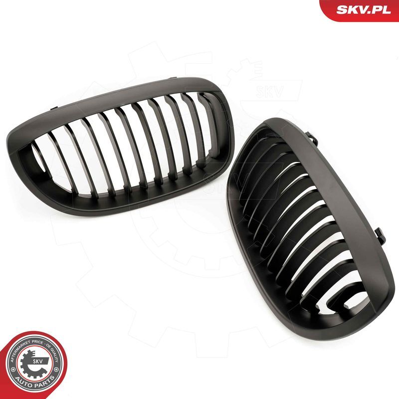 ESEN SKV, Grille de radiateur