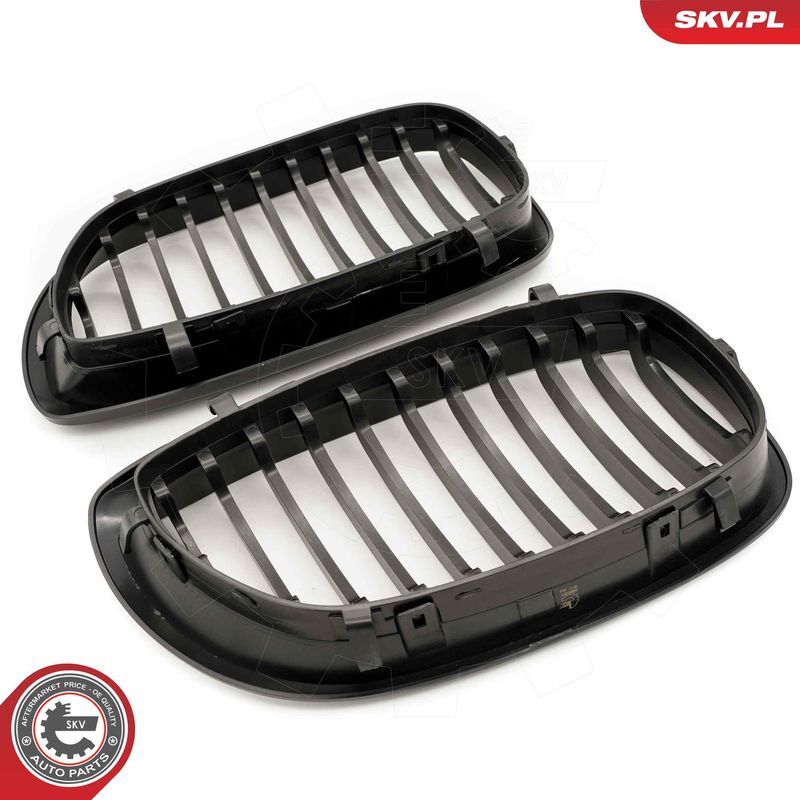 ESEN SKV, Grille de radiateur