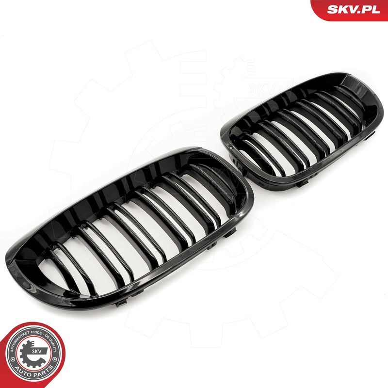 ESEN SKV, Grille de radiateur