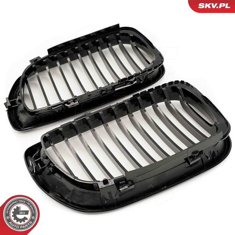 ESEN SKV, Grille de radiateur