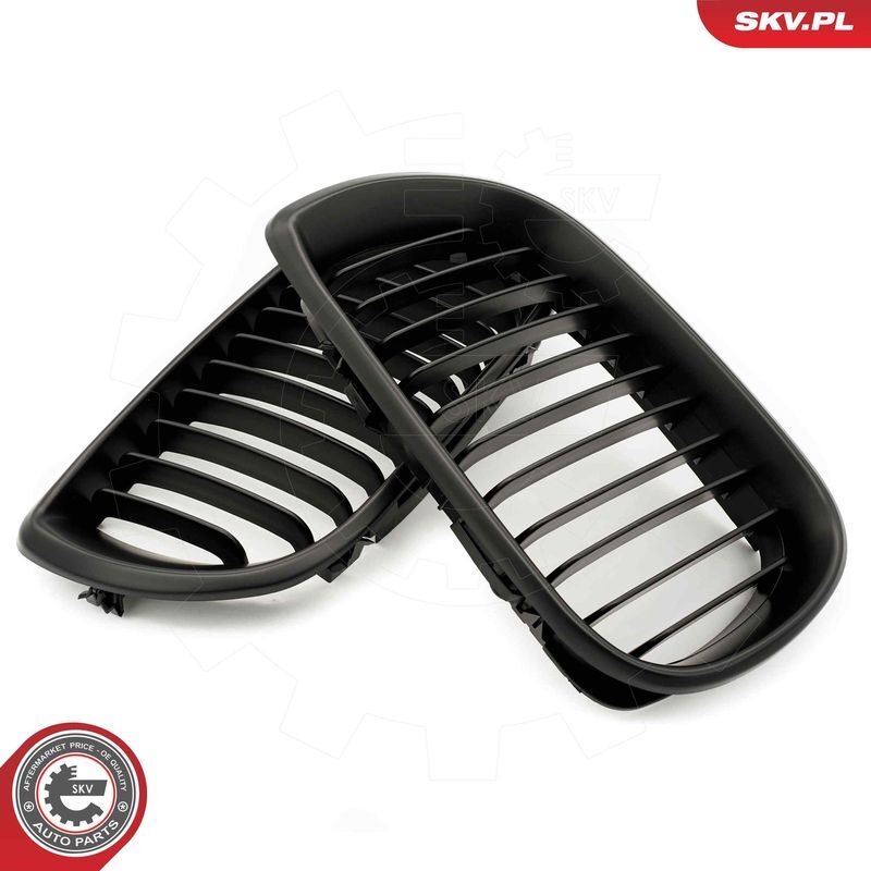 ESEN SKV, Grille de radiateur