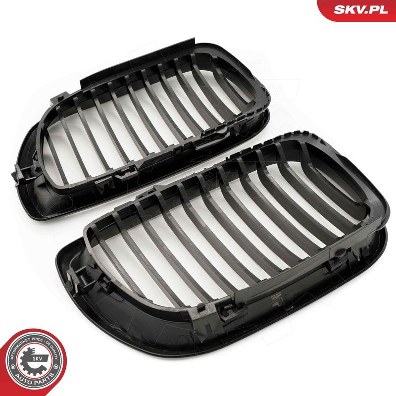 ESEN SKV, Grille de radiateur