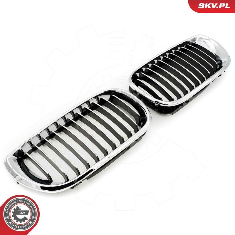 ESEN SKV, Grille de radiateur