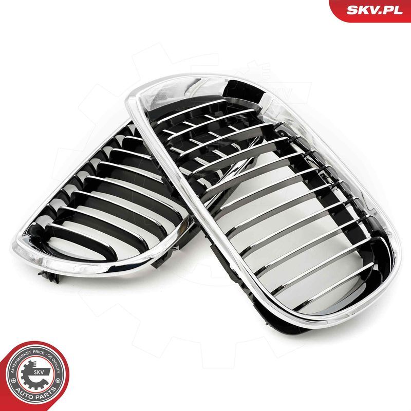 ESEN SKV, Grille de radiateur