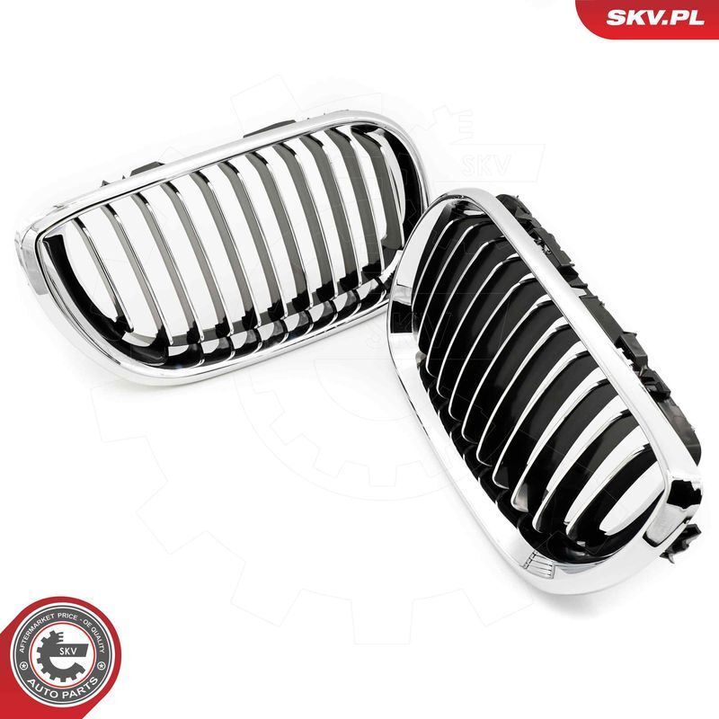 ESEN SKV, Grille de radiateur