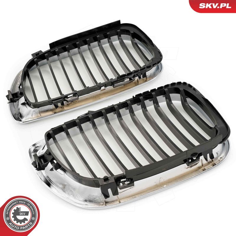 ESEN SKV, Grille de radiateur