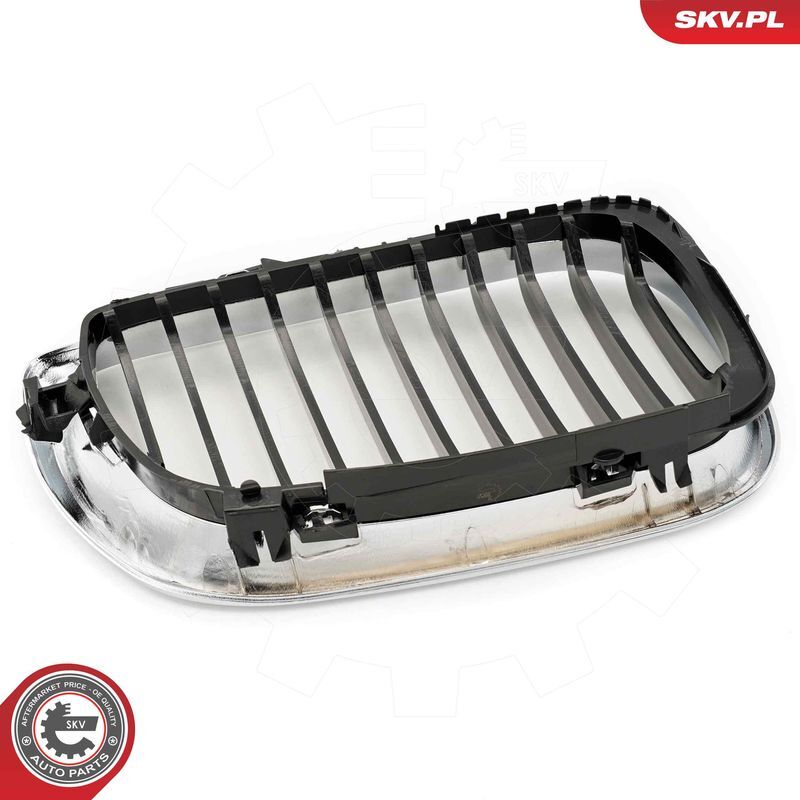 ESEN SKV, Grille de radiateur