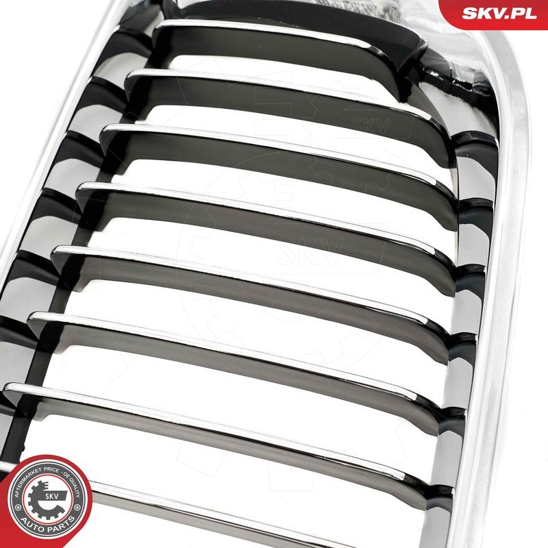 ESEN SKV, Grille de radiateur