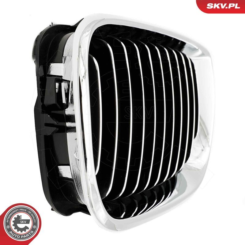 ESEN SKV, Grille de radiateur