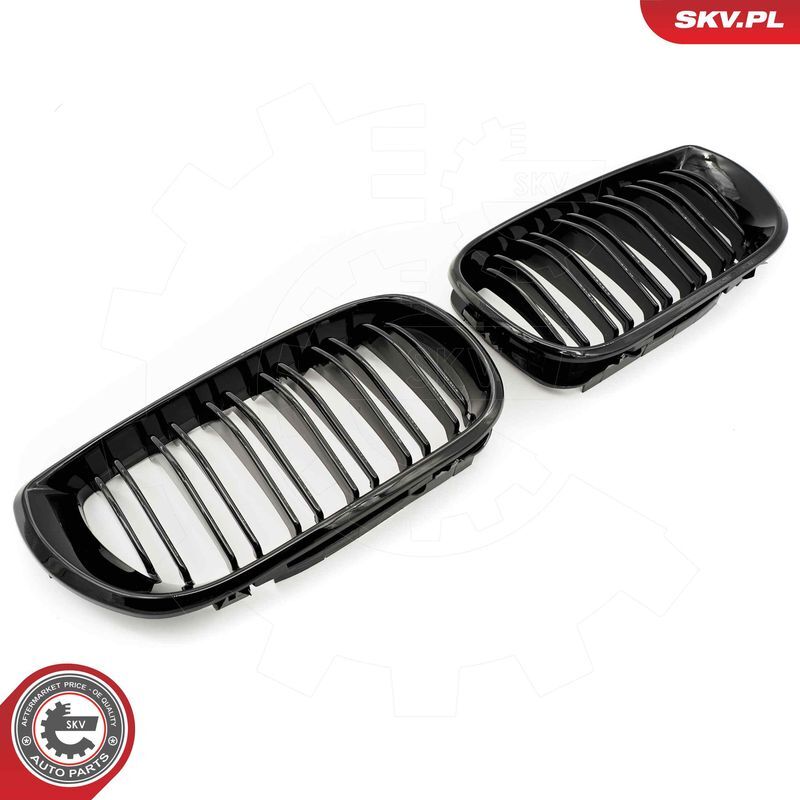 ESEN SKV, Grille de radiateur