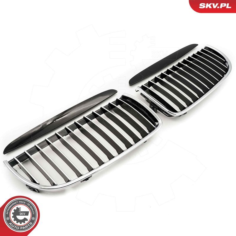 ESEN SKV, Grille de radiateur