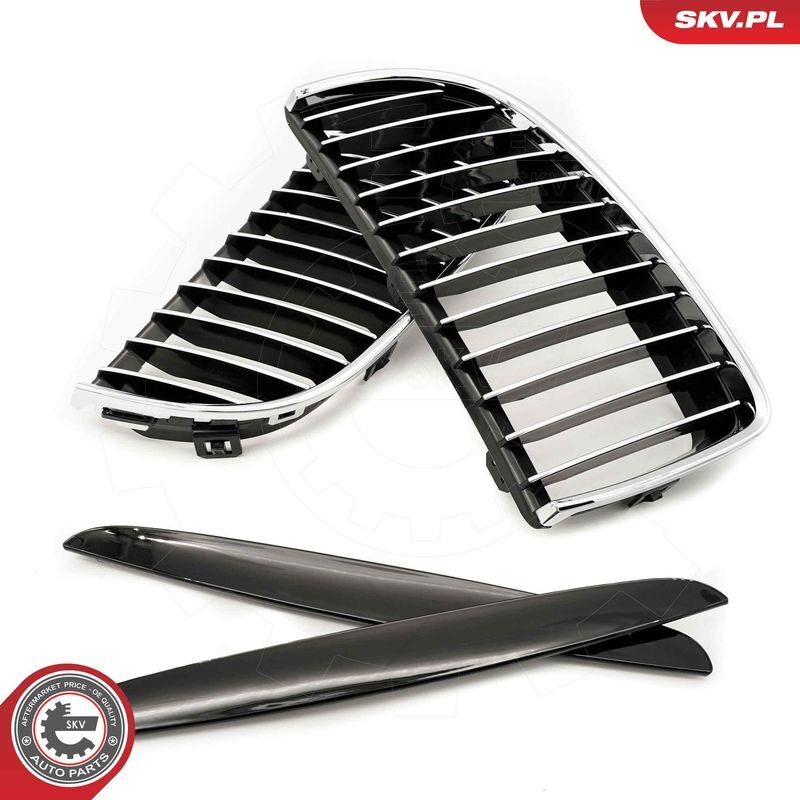 ESEN SKV, Grille de radiateur