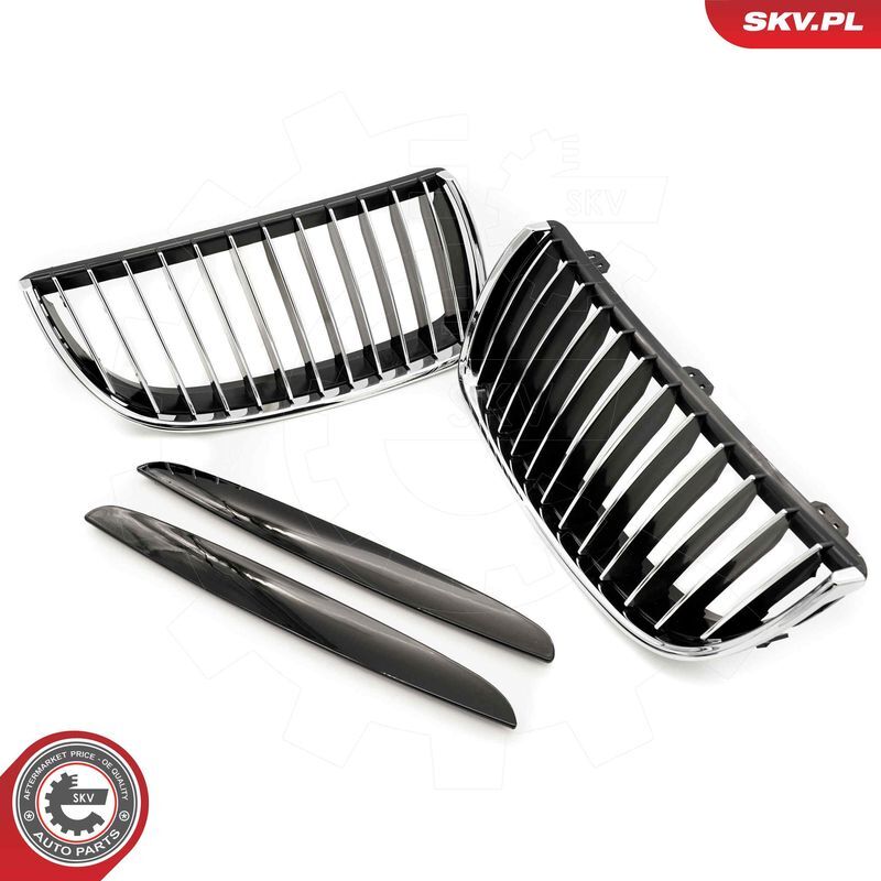 ESEN SKV, Grille de radiateur