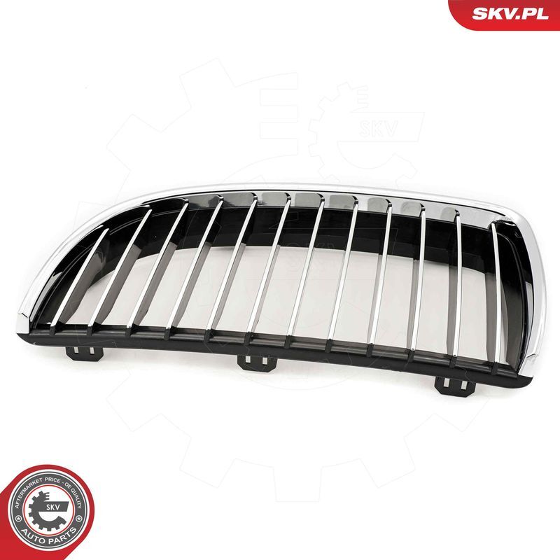 ESEN SKV, Grille de radiateur