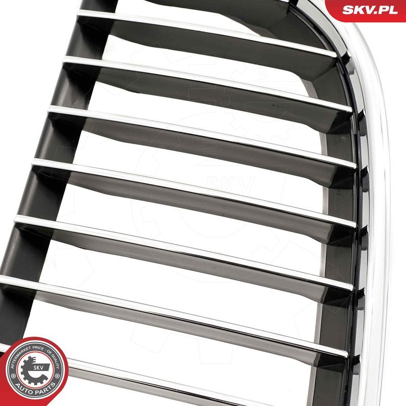 ESEN SKV, Grille de radiateur