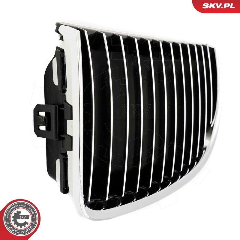 ESEN SKV, Grille de radiateur