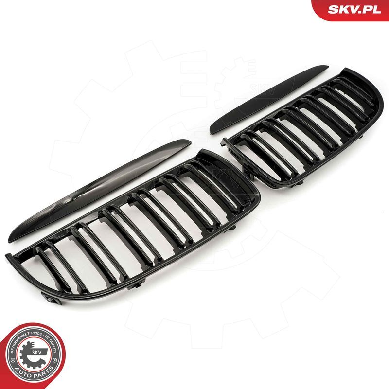 ESEN SKV, Grille de radiateur