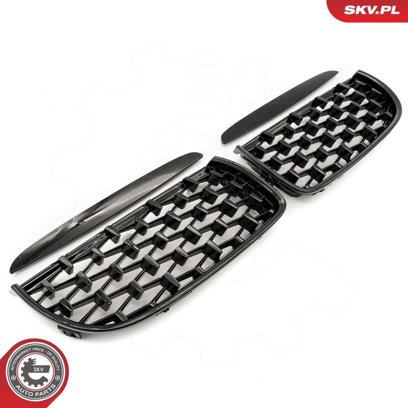 ESEN SKV, Grille de radiateur