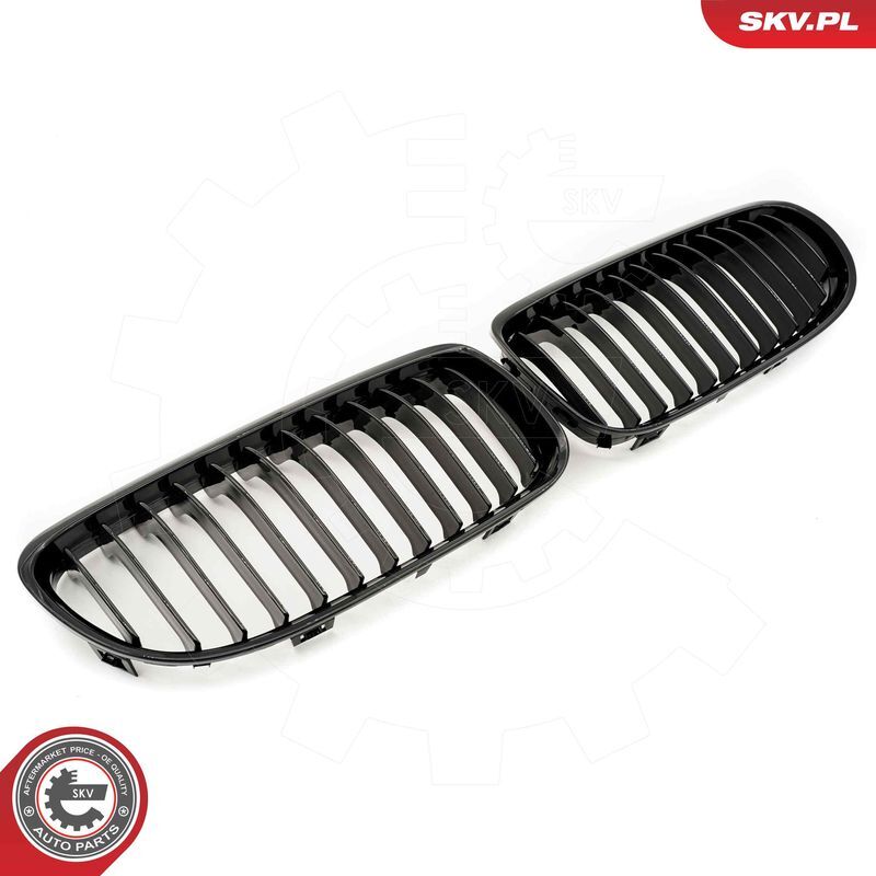 ESEN SKV, Grille de radiateur