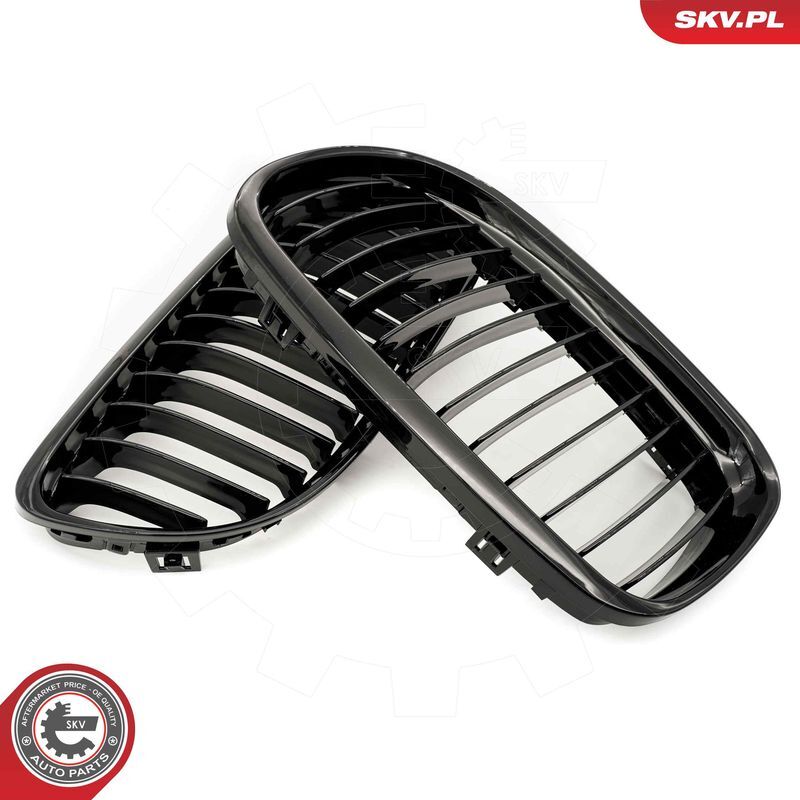 ESEN SKV, Grille de radiateur