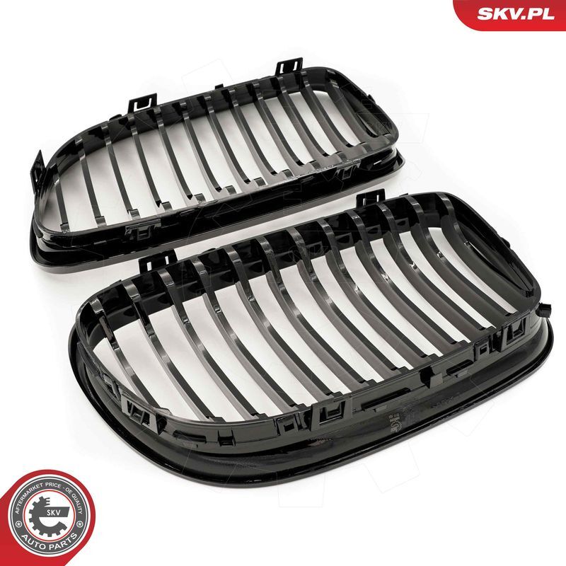 ESEN SKV, Grille de radiateur