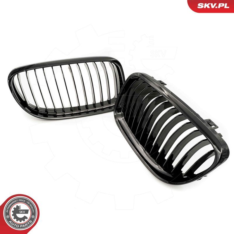 ESEN SKV, Grille de radiateur