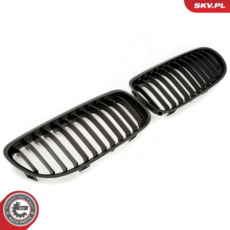 ESEN SKV, Grille de radiateur