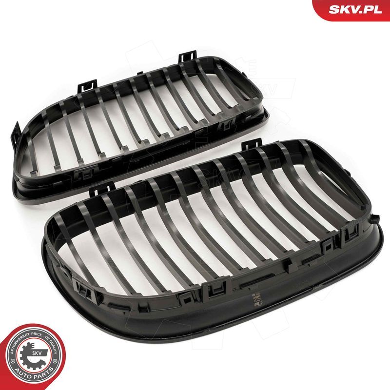 ESEN SKV, Grille de radiateur