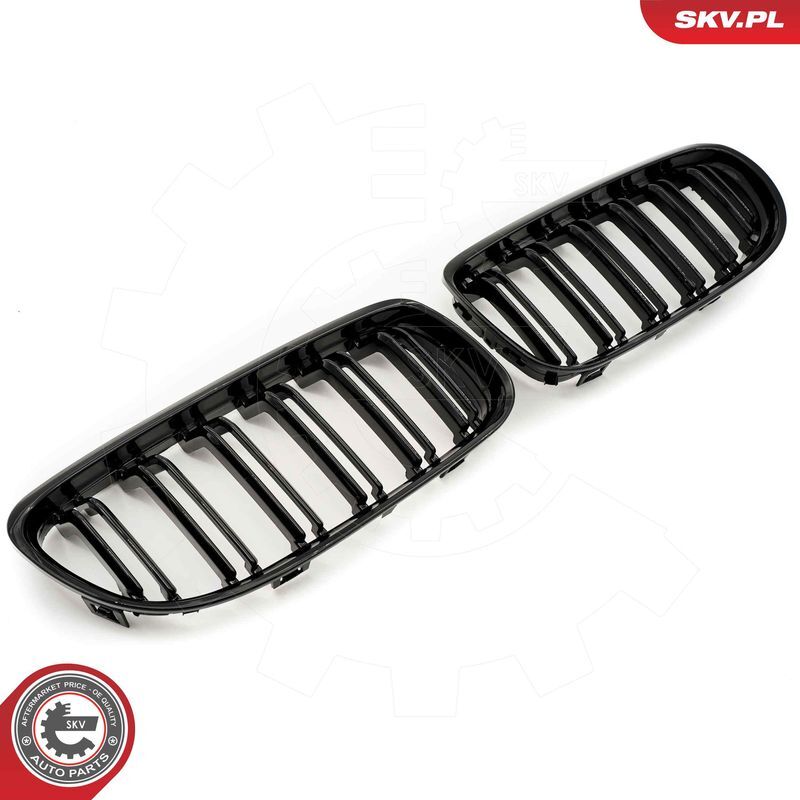 ESEN SKV, Grille de radiateur