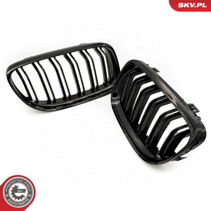 ESEN SKV, Grille de radiateur