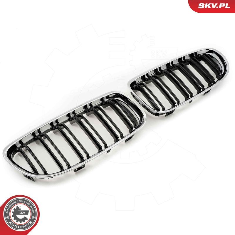 ESEN SKV, Grille de radiateur