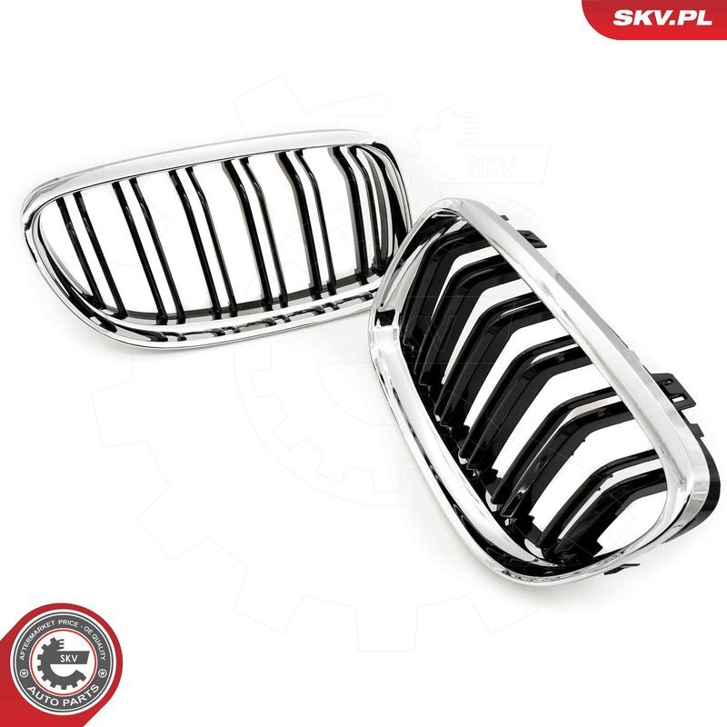 ESEN SKV, Grille de radiateur