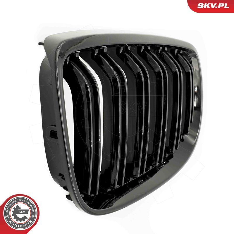 ESEN SKV, Grille de radiateur