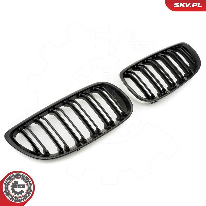 ESEN SKV, Grille de radiateur