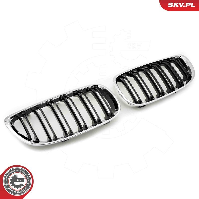 ESEN SKV, Grille de radiateur