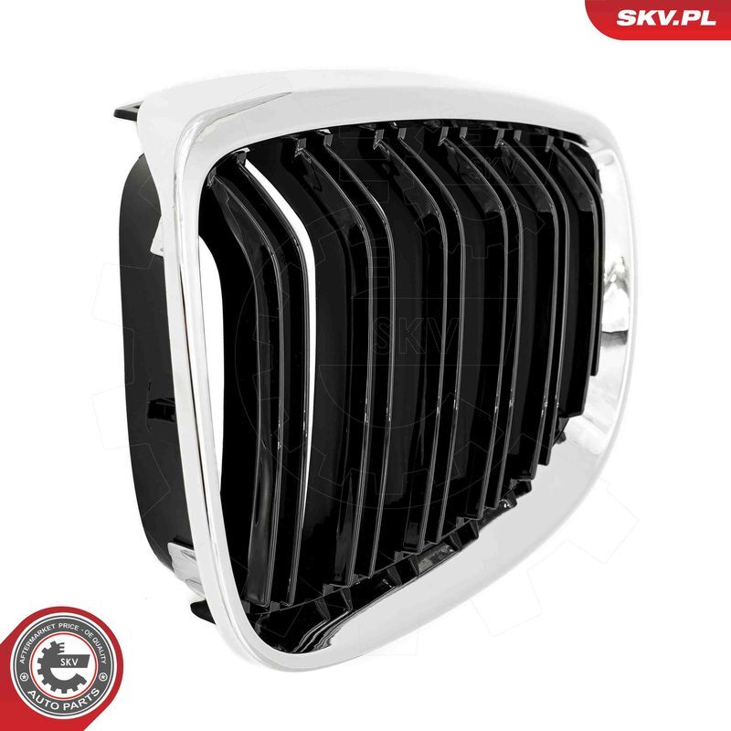 ESEN SKV, Grille de radiateur