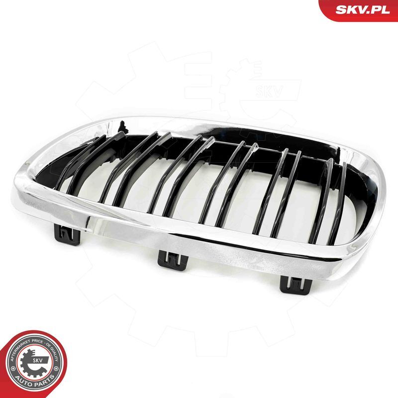 ESEN SKV, Grille de radiateur