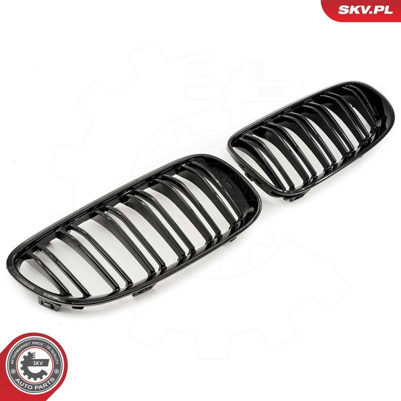 ESEN SKV, Grille de radiateur