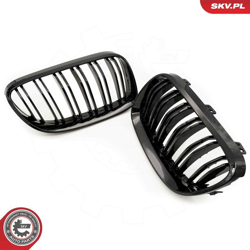 ESEN SKV, Grille de radiateur