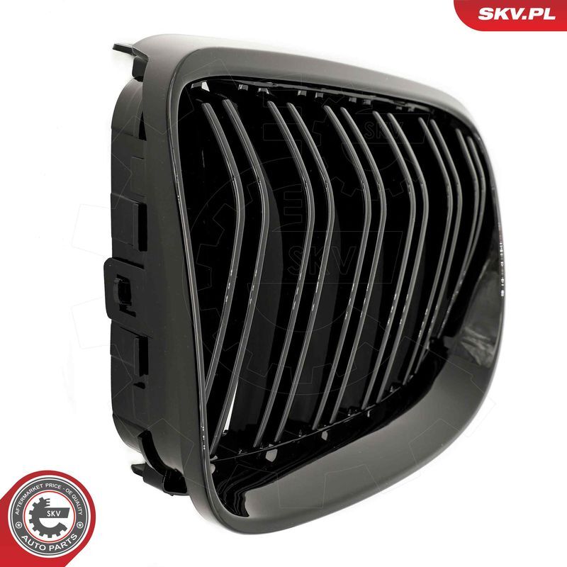 ESEN SKV, Grille de radiateur