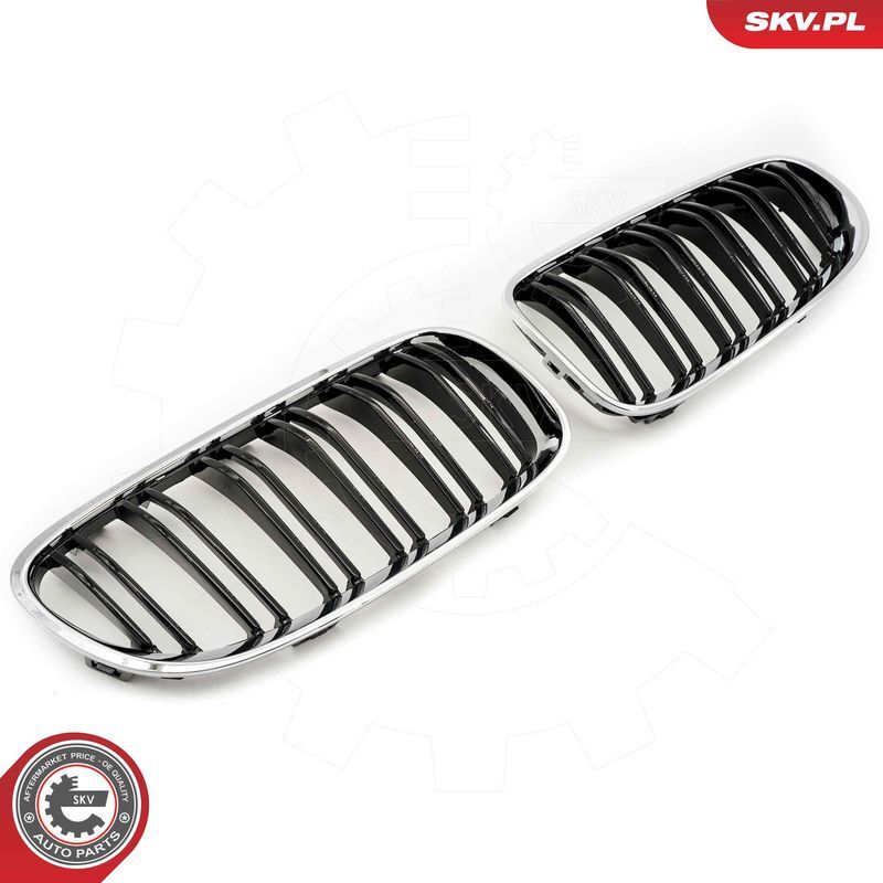 ESEN SKV, Grille de radiateur