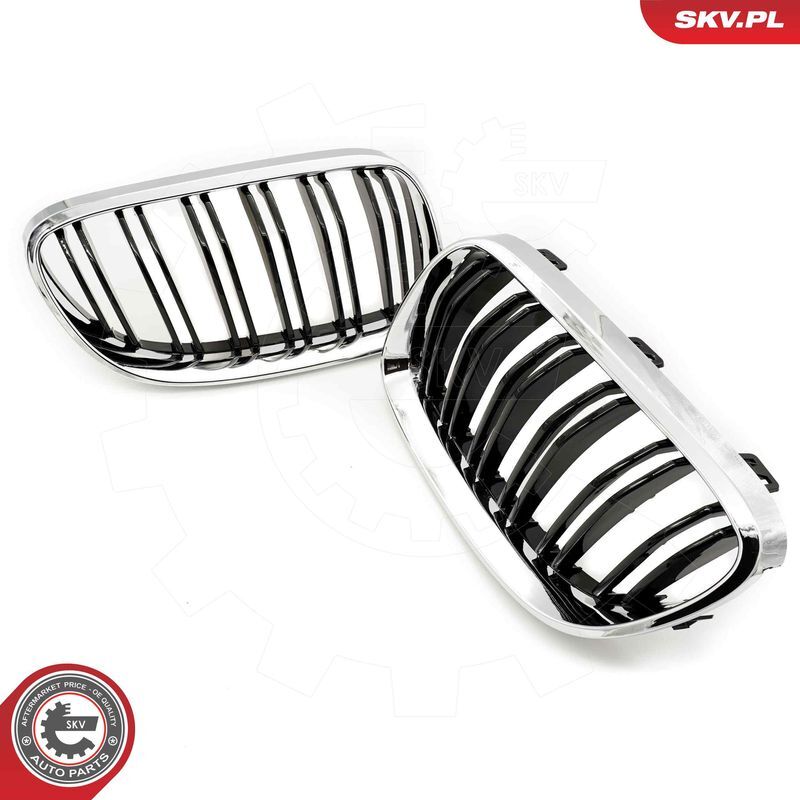 ESEN SKV, Grille de radiateur