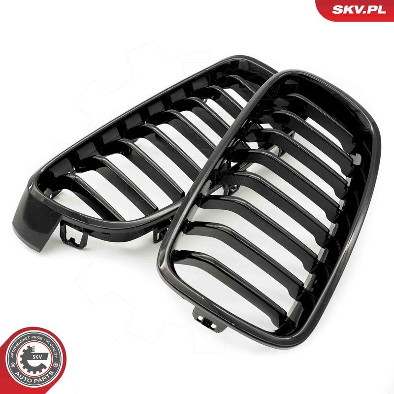 ESEN SKV, Grille de radiateur