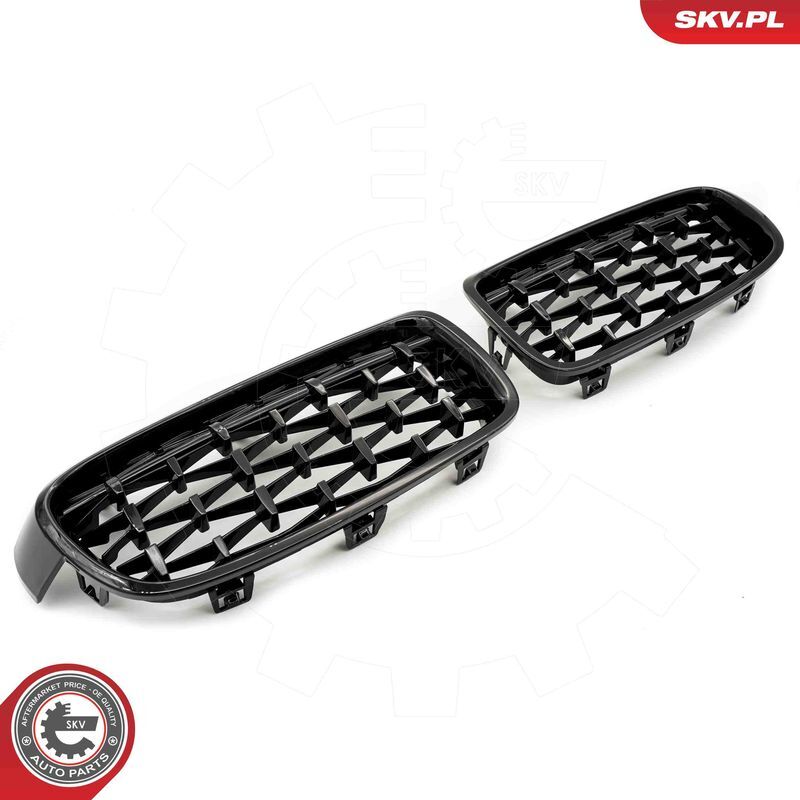 ESEN SKV, Grille de radiateur