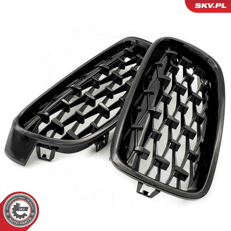 ESEN SKV, Grille de radiateur