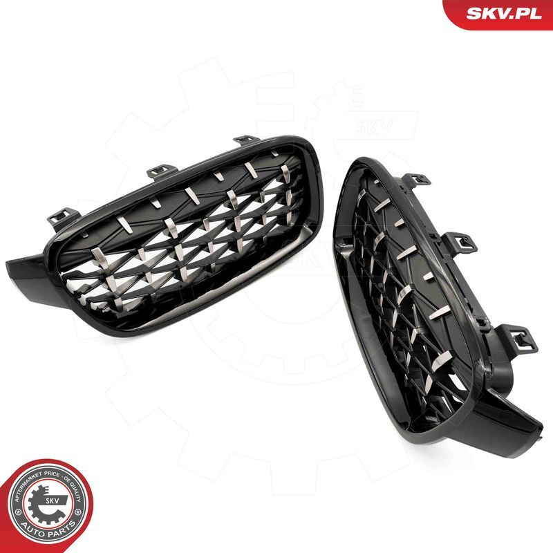 ESEN SKV, Grille de radiateur